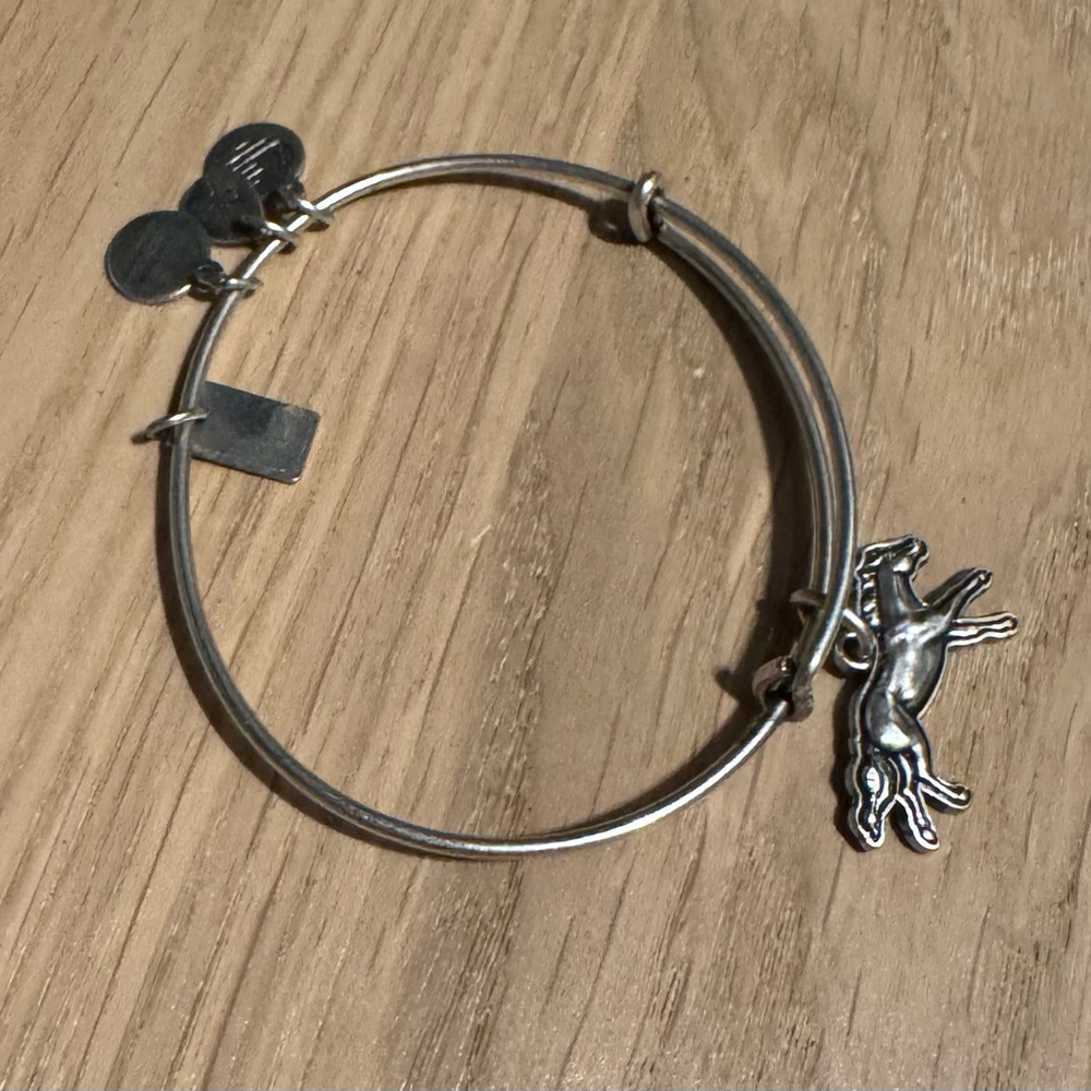 Alex and Ani Silver Horse Charm Bracelet